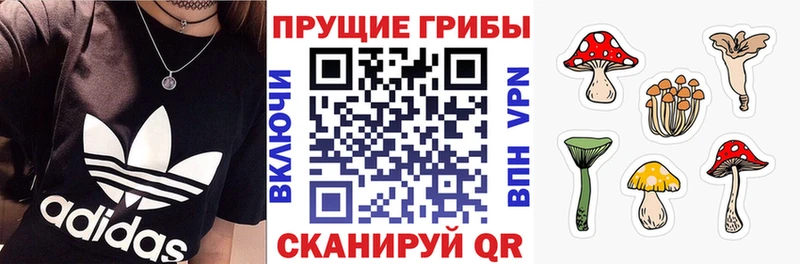 Псилоцибиновые грибы мицелий  Инза 
